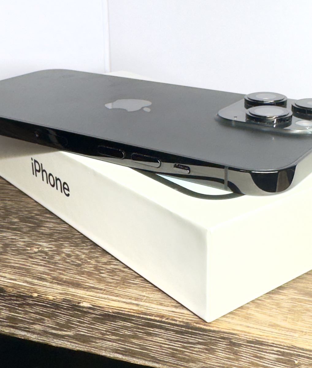 Apple公式ストア購入SIMフリー iPhone 14 Pro Max 256GB _画像6