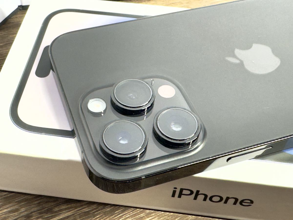 Apple公式ストア購入SIMフリー iPhone 14 Pro Max 256GB _画像4