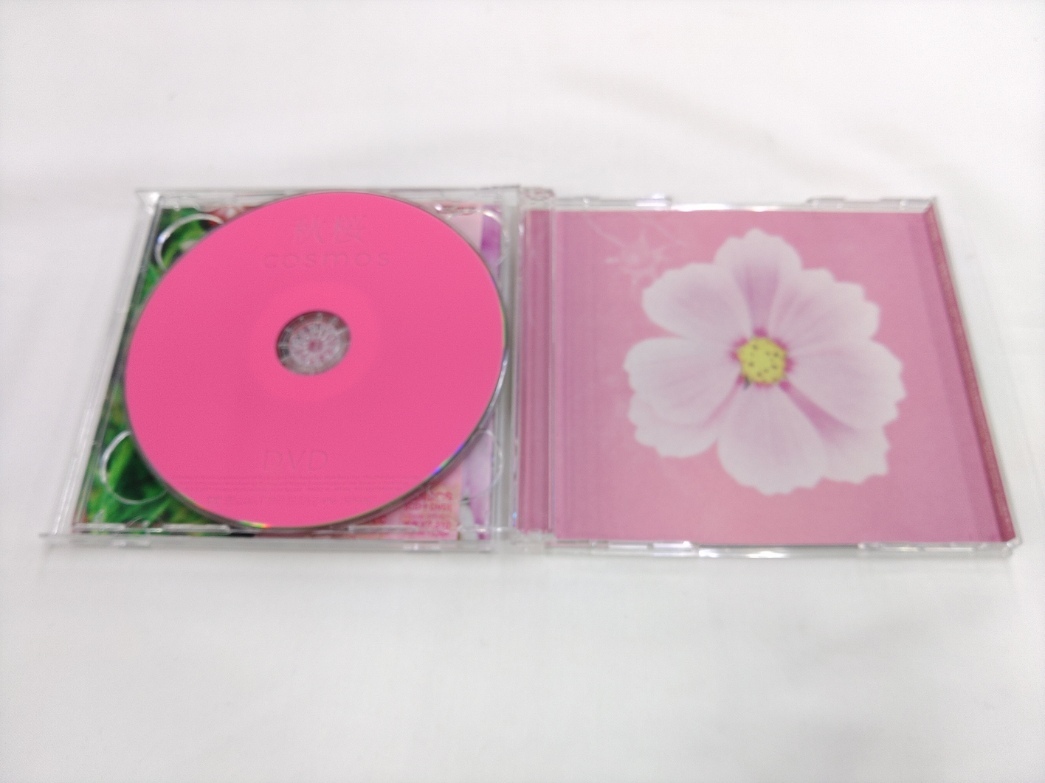 CD & DVD / 秋桜 / cosmos / 南さやか /【J30】/ 中古の画像6