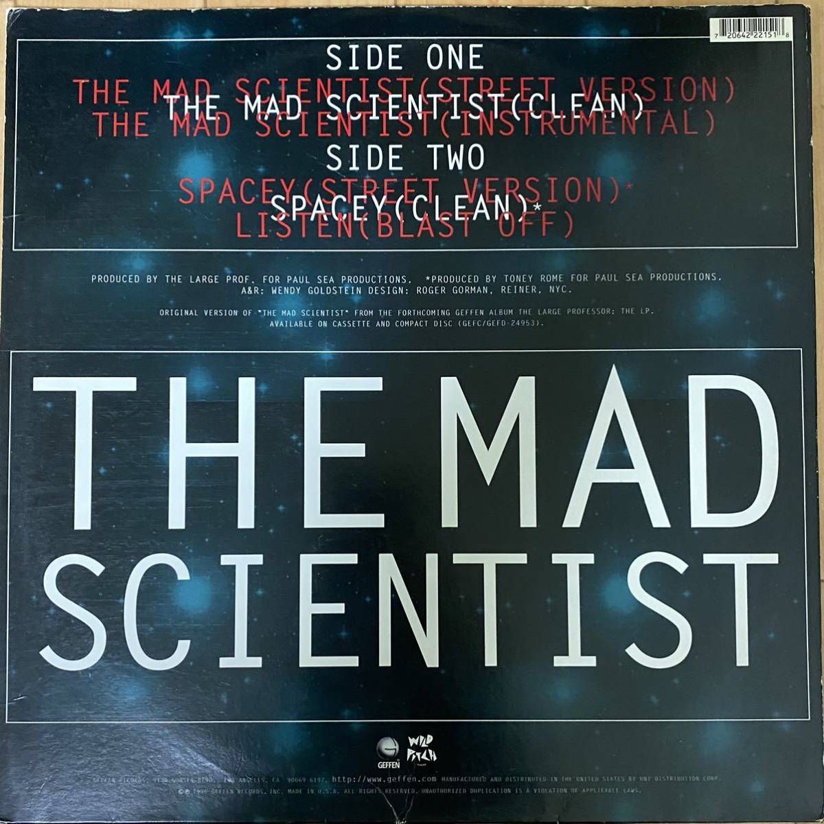 THE LARGE PROFESSOR/the mad scientist_画像2