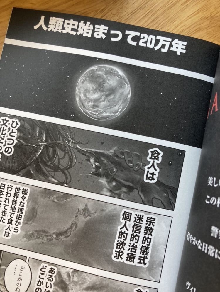 【非売品】ガンニバル 実写ドラマ化記念冊子【新品】サスペンスコミック 漫画 マンガ 柳楽優弥 吉岡里帆 ディズニー 【配布終了品】レアの画像3