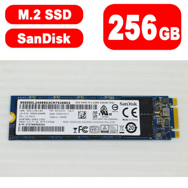 22A1019 健康状態正常 SanDisk M.2 SSD Type 2280 SATA 256GB 中古 抜き取り品 動作確認済 SD8TN8U-256G-1001 SSD X400_画像1