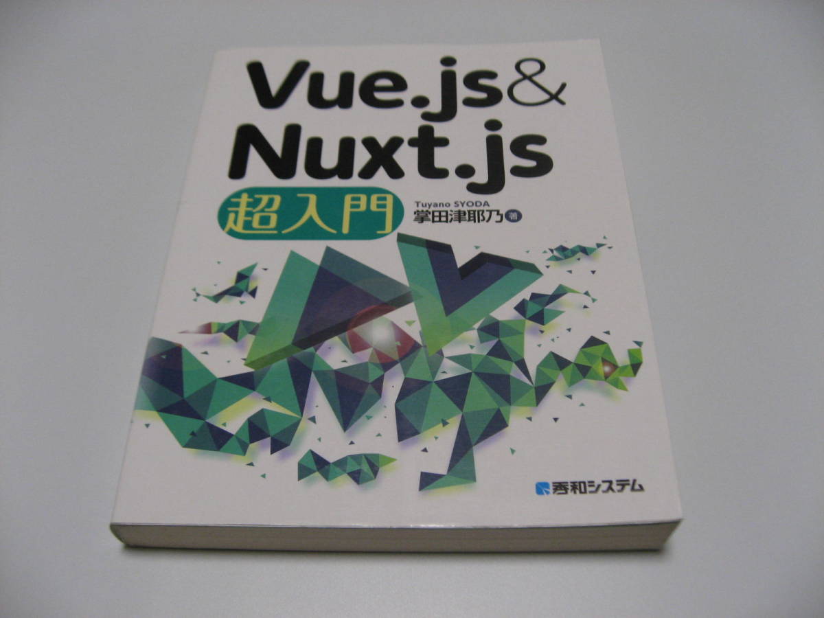 小傷み　Vue.js & Nuxt.js超入門_画像1