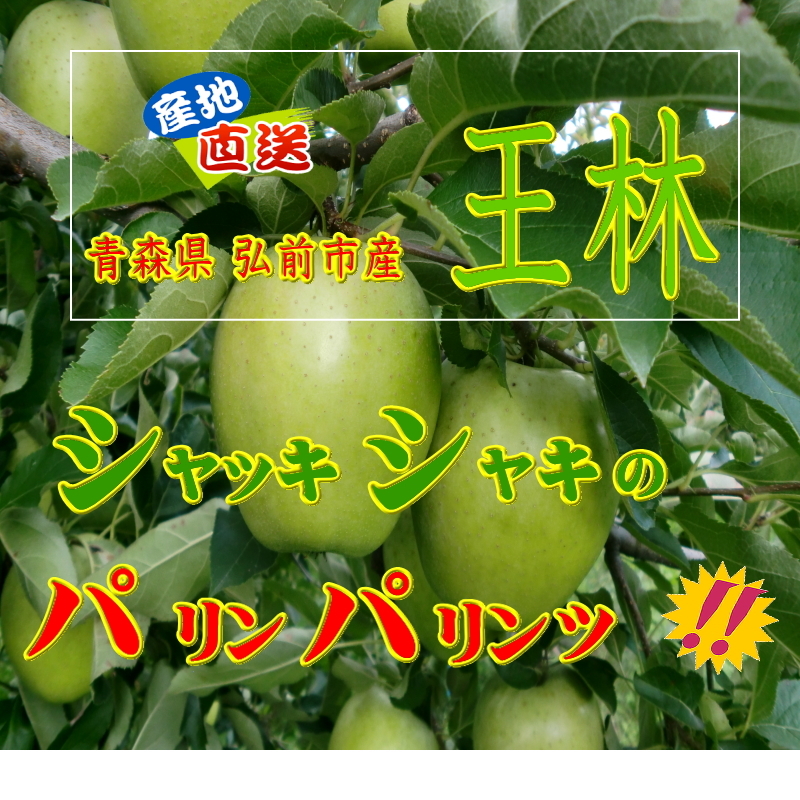 王林 おうりん オウリン 訳あり 5kg 青森産 リンゴ 林檎 りんご 葉とらずりんご_画像2