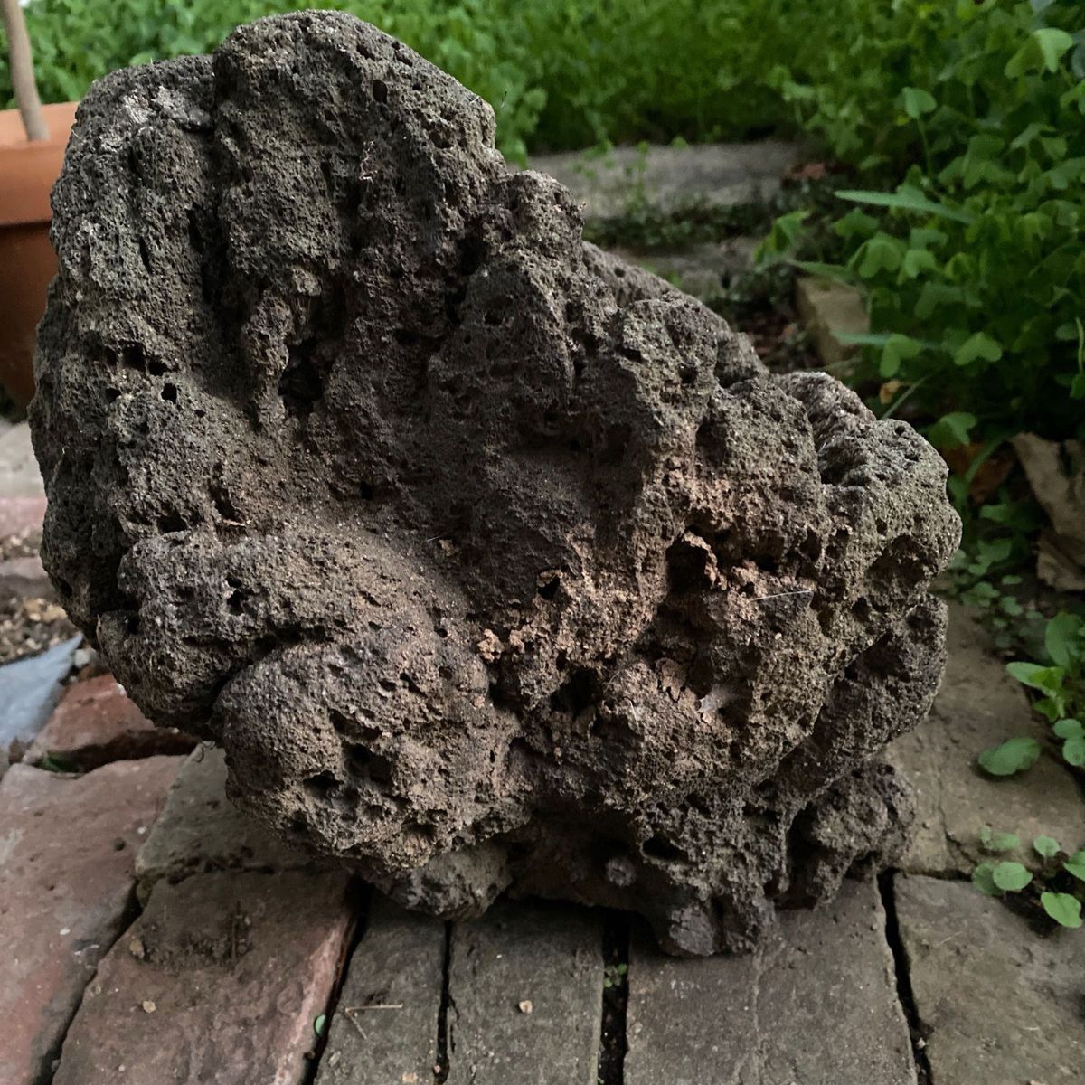 庭石 ロックガーデン 溶岩石 植木鉢 インテリア 岩 オブジェ 庭石 ロックガーデン 溶岩石 植木鉢 インテリア 岩 オブジェ