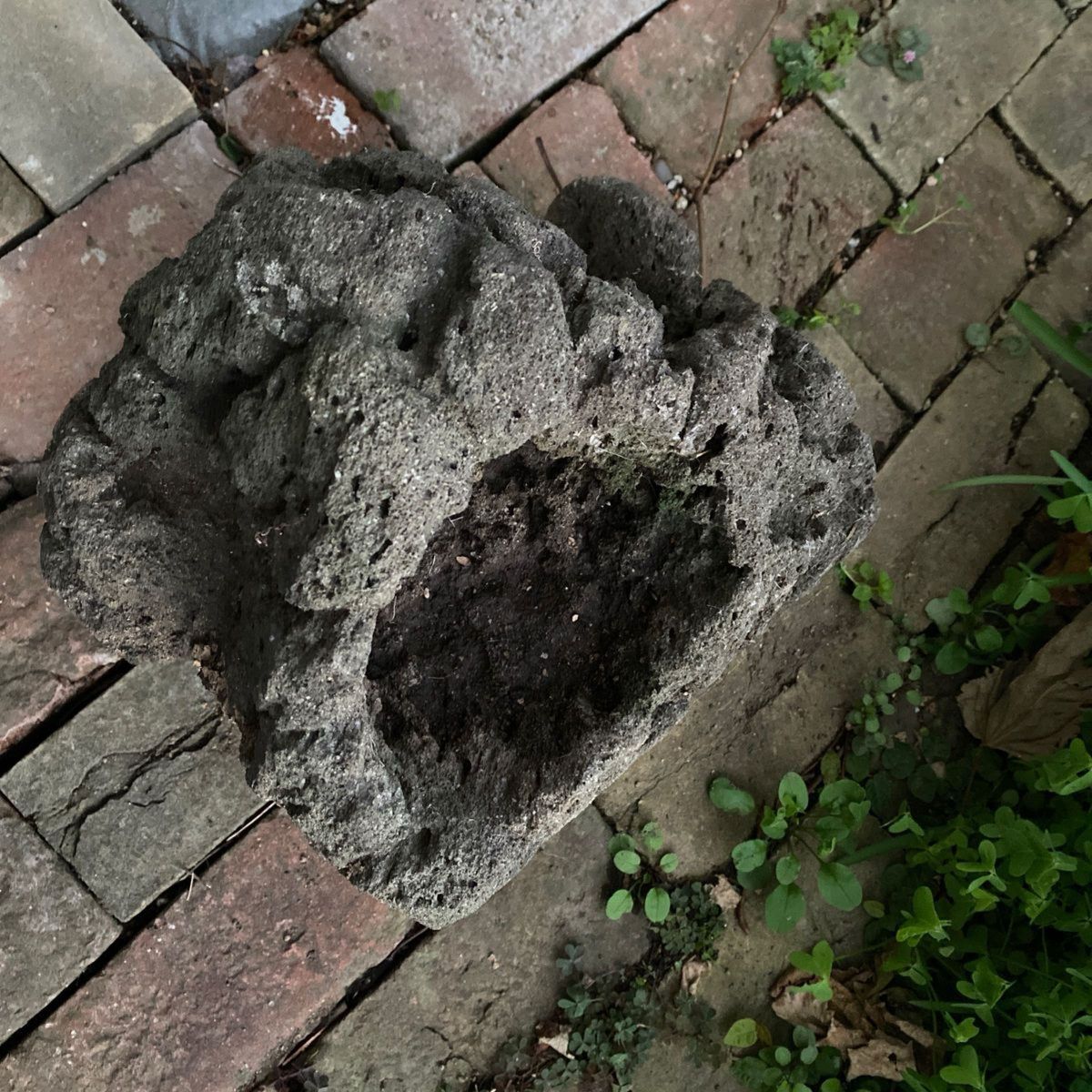 庭石 ロックガーデン 溶岩石 植木鉢 インテリア 岩 オブジェ 庭石 ロックガーデン 溶岩石 植木鉢 インテリア 岩 オブジェ