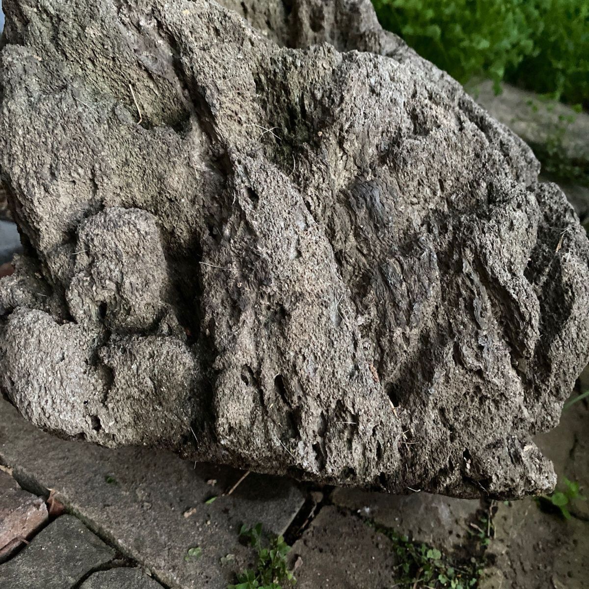 庭石 ロックガーデン 溶岩石 植木鉢 インテリア 岩 オブジェ 庭石 ロックガーデン 溶岩石 植木鉢 インテリア 岩 オブジェ