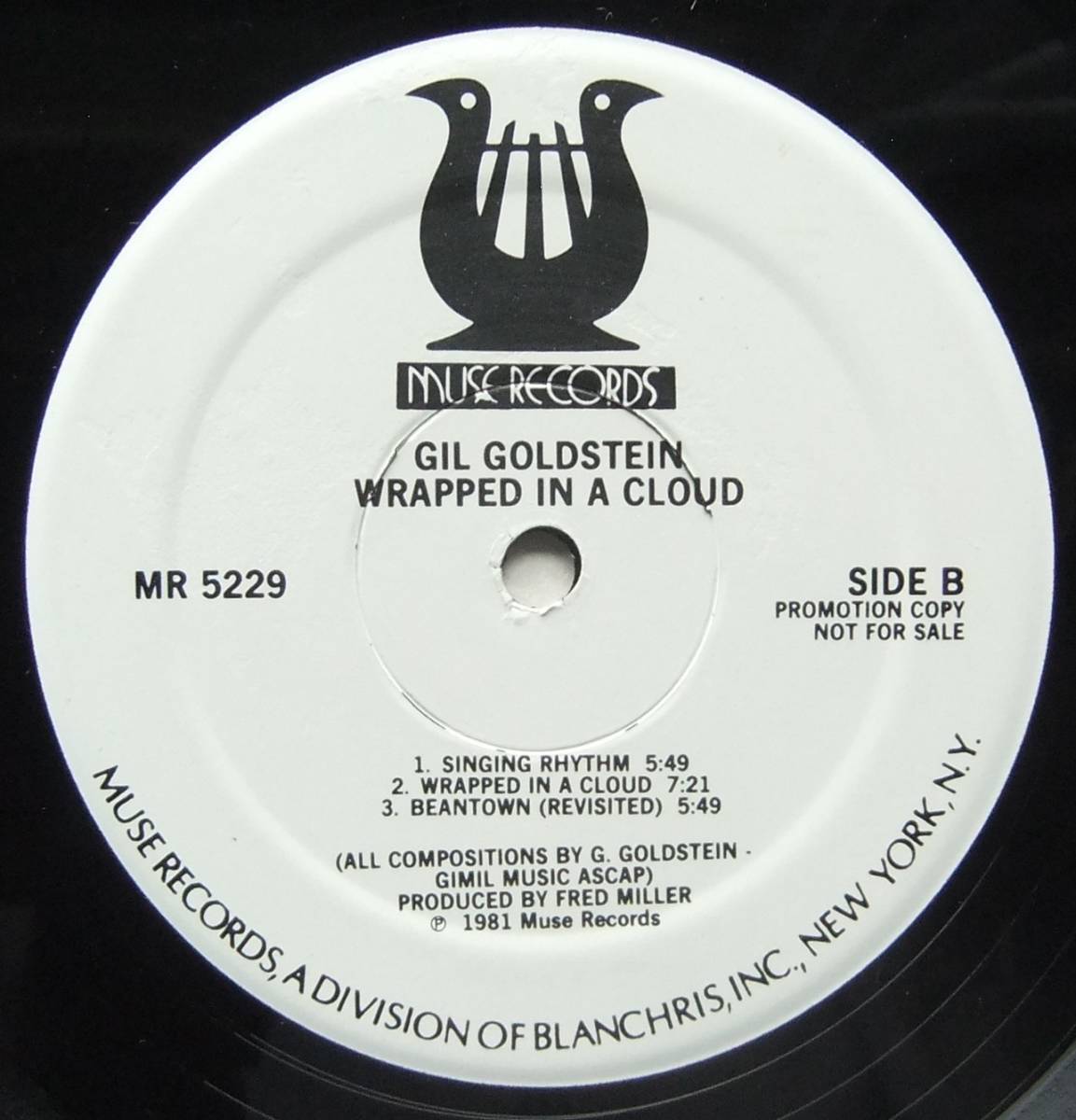 ◆ GIL GOLDSTEIN / Wrapped In a Cloud ◆ Muse MR 5229 (promo) ◆_画像4