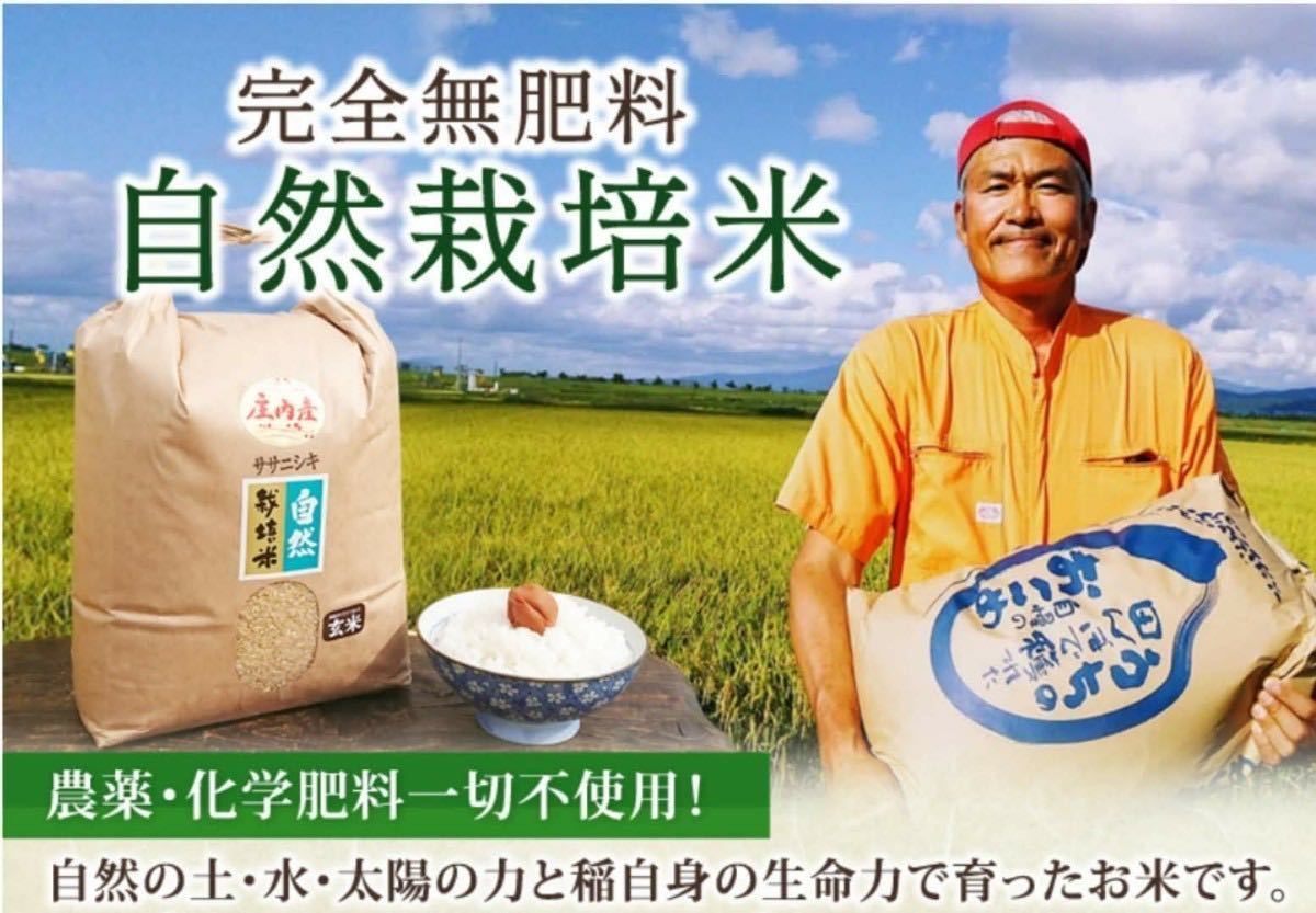 自然栽培米 ササニシキ 令和５年産 山形県産 庄内米 玄米 25kg 正味24.6kg③_画像2