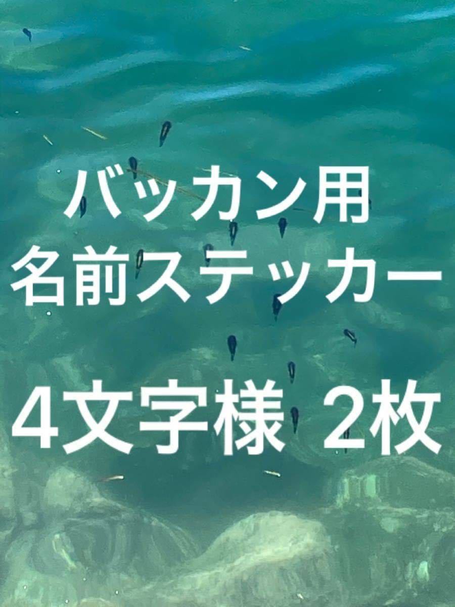 バッカン用 名前ステッカー お名前 4文字様 2枚 シマノ マルキュー ダイワ がまかつ サンライン 釣研などの_画像1