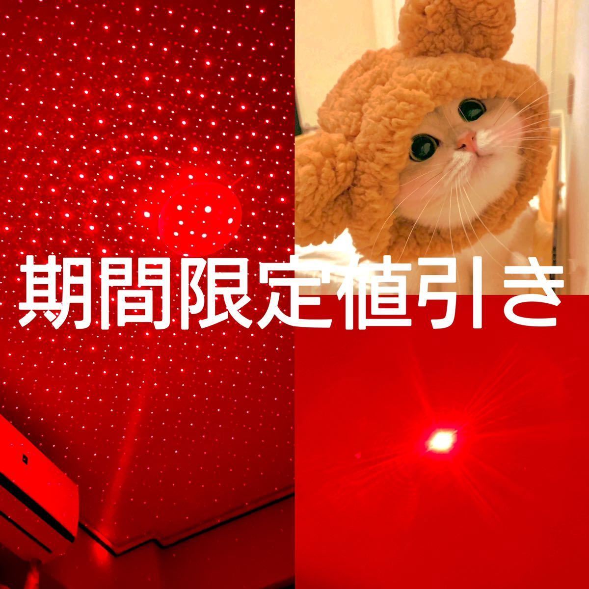 LEDライト　ポインター　強力　赤　カラス対策 猫おもちゃ　工事　会議　郊外活動大活躍　電池2本付き　満点星機能付き　_画像1