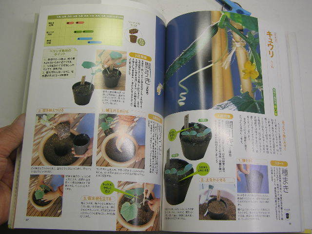  veranda field each goods kind. another cultivation method compilation wistaria rice field ..... contents completion preservation version secondhand goods house. light 2005 year 1. regular price 1600 jpy most color photograph map version go in 111. sending 188