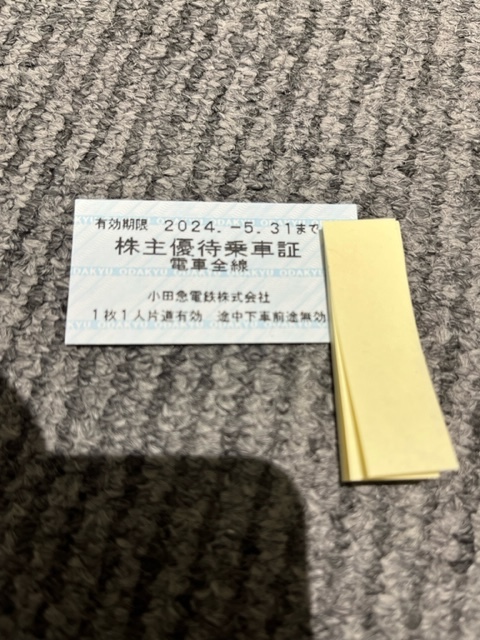 25825☆小田急電鉄 株主優待乗車証 30枚 2024年5月31日まで_画像1