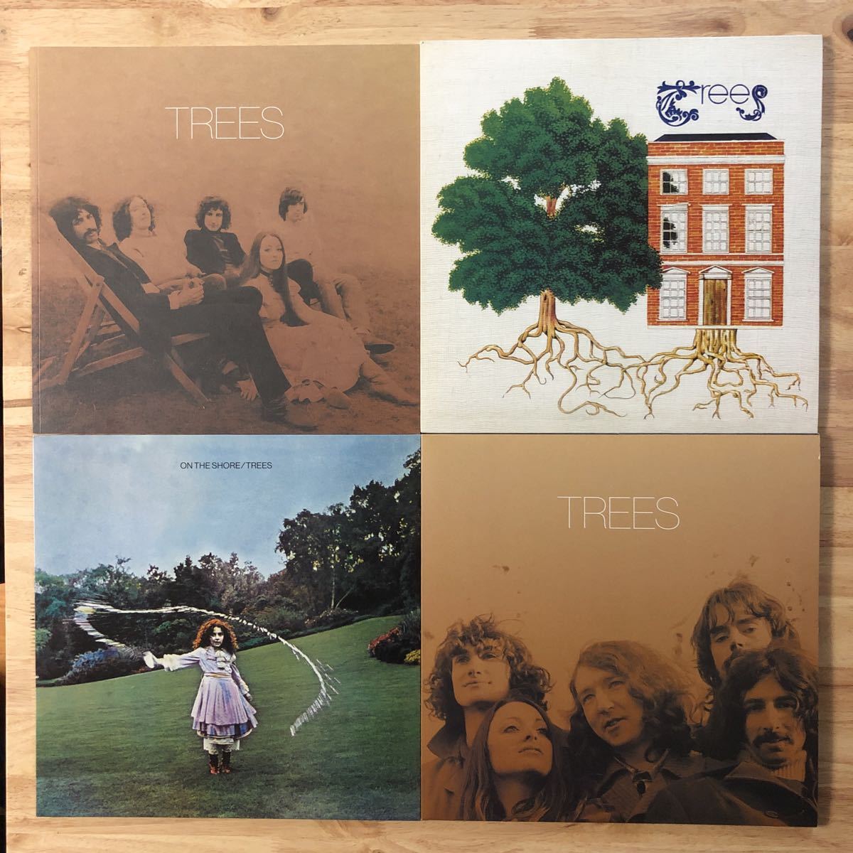 LP TREES/TREES 50TH ANNIVERSARY EDITION LP BOX[EU盤:シュリンクw/ハイプ・ステッカー:4LP ALL180g盤(2020 REMASTER):付属品完備:美品!!]