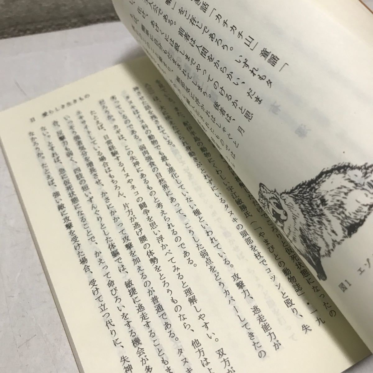 L25◎ 動物と私たち　北海道自然保護読本　社団法人北海道自然保護協会　1991年発行　ヒグマ/エゾシカ/キタキツネ ◎231118 _画像9