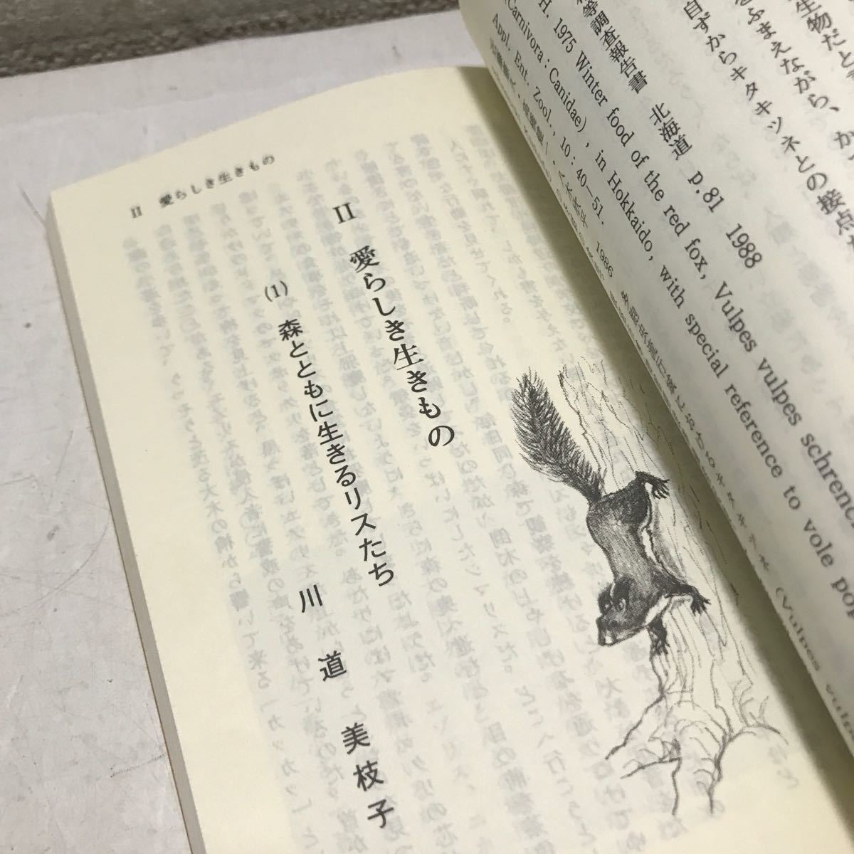 L25◎ 動物と私たち　北海道自然保護読本　社団法人北海道自然保護協会　1991年発行　ヒグマ/エゾシカ/キタキツネ ◎231118 _画像8