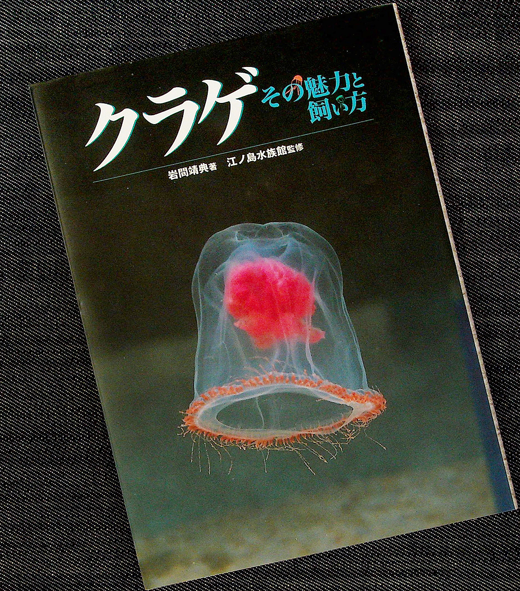 クラゲ―その魅力と飼い方｜カラー図鑑＆飼育ガイド 基礎知識 日常メンテナンス 採集 海の生物 江ノ島水族館監修#_画像1