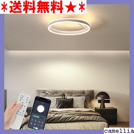 《送料無料》 BKBEINGKING インテリアライト LED 6- kg 和 接照明 居間 日本語説明書付 直径40cm 131 Yahoo!フリマ（旧）のサムネイル