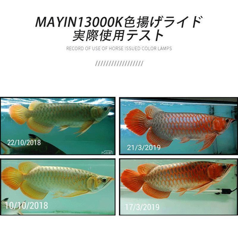 【新入荷】 Mayin マイン 172cm 13000k 変圧器付き NEC テンニングライト セラミックエミッタ UVライト アロワナ 水槽ライト 水中ライト_画像8