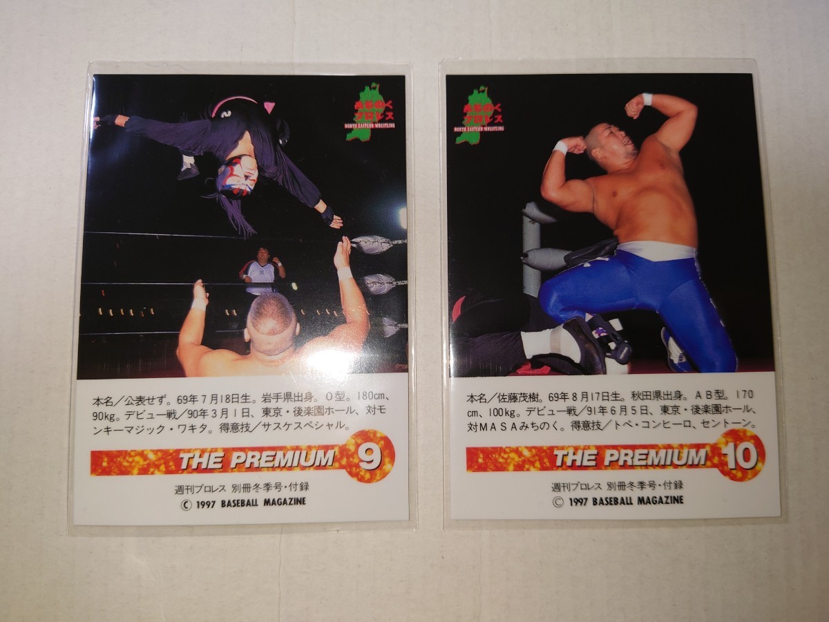 BBM'97 HYPER PRO-WRESTLING ALBUM 付録カード　みちのくプロレス　2枚_画像2