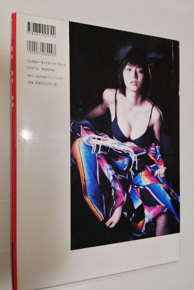 酒井若菜　フィギュア付き写真集　do-dai?　中古品_画像2