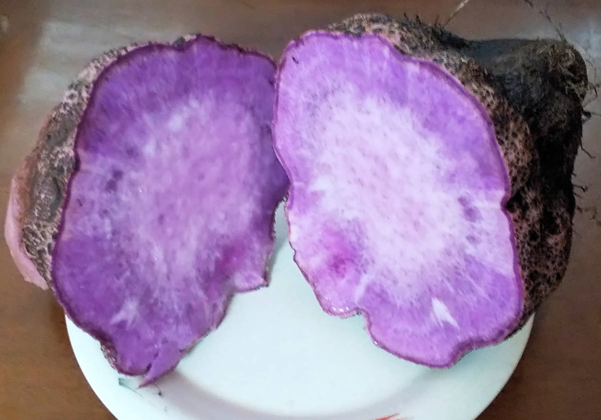 紫山芋(土付き)3kg_画像5