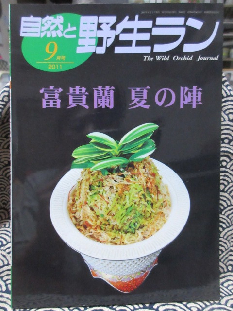 自然と野生ラン 2011年９月号 特集：富貴蘭　夏の陣　韓国春蘭の美　名品蘭鉢の世界_画像1