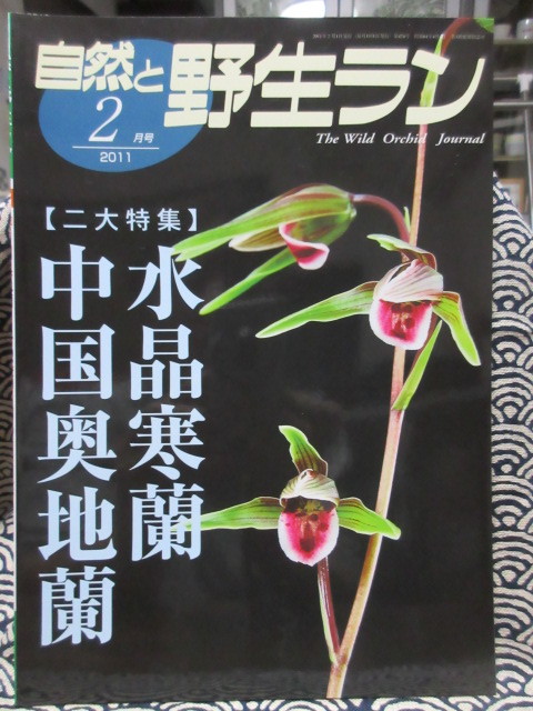  природа .. сырой Ran 2011 год 2 месяц номер специальный выпуск : China внутри земля орхидея кристалл холод орхидея иллюзия. fkeji Macan AOI 