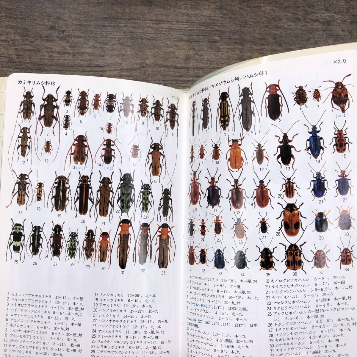 Z-4756#. насекомое ( гора . поле книги 13)# насекомое иллюстрированная книга # чёрный . хорошо ./ описание Kuribayashi ./ фотография # гора ... фирма #1996 год 6 месяц 1 день первая версия no. 1.