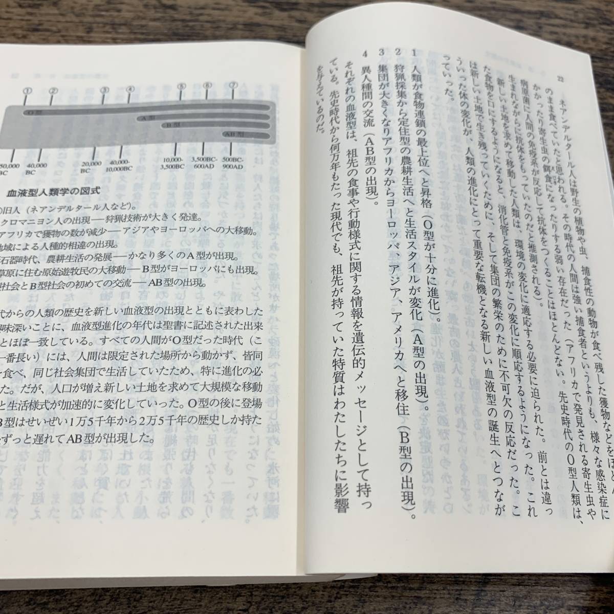 Z-1717■ダダモ博士の血液型健康ダイエット■濱田陽子/著■集英社■1998年5月25日第1刷_画像4