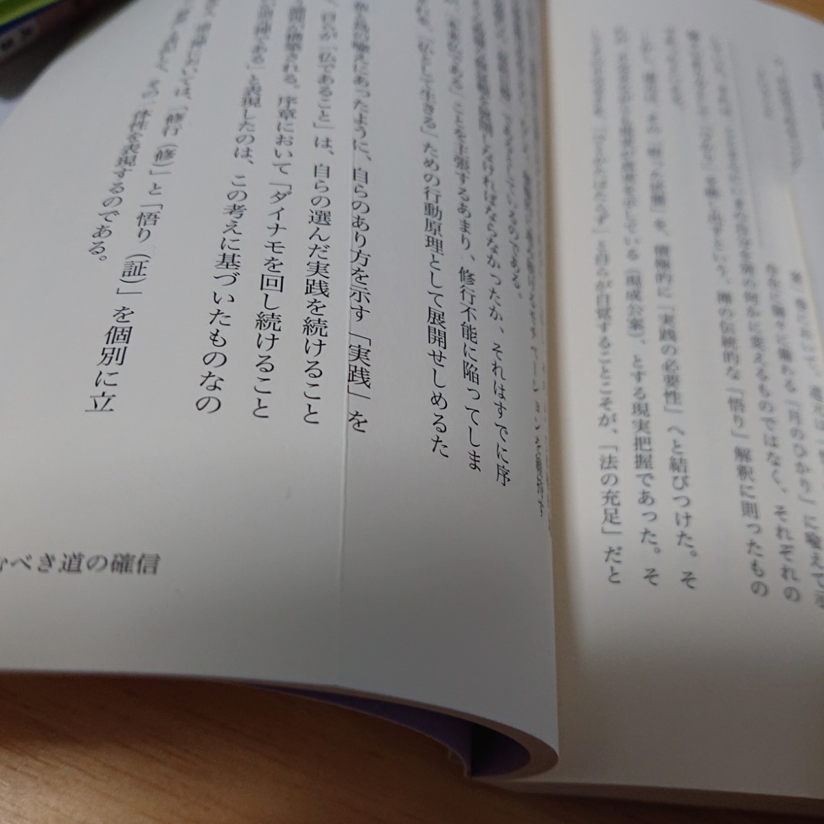 道元 禅仏教 構築された仏教思想 哲学 永平寺 正法眼蔵随聞記 座禅 石井清純 仏であるがゆえに坐す_画像5