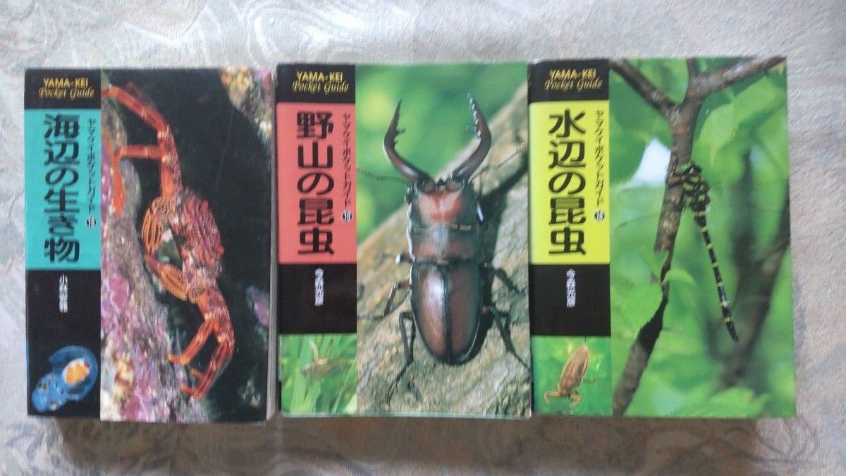 水辺、野山の昆虫 海辺の生き物 図鑑 ヤマケイポケットガイド