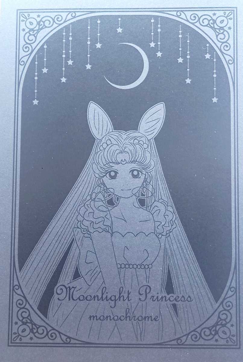セーラームーン同人誌□Moonlight Princess monochome□エリオス・ちびうさ 縁屋 ゆかり|代購幫