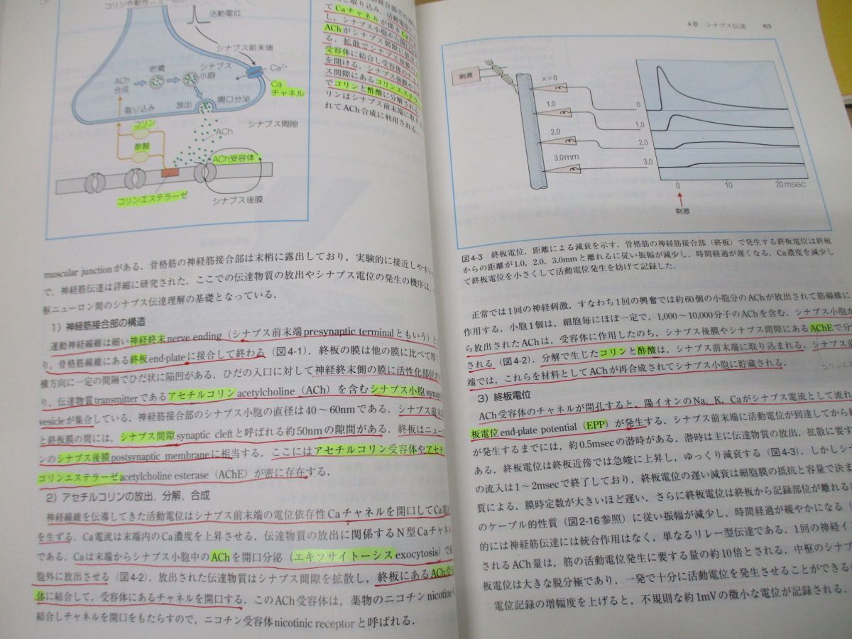 ■01)【同梱不可】解剖学・生理学などの医学書 まとめ売り14冊セット/医療/治療/臨床/関節の生理学/触察法/人体機能/医学大辞典/解剖/B_画像6