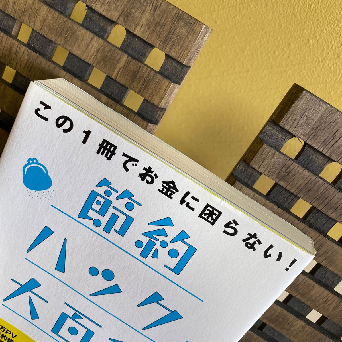 この１冊でお金に困らない！節約ハック大百科 （この１冊でお金に困らない！） 松本博樹／著