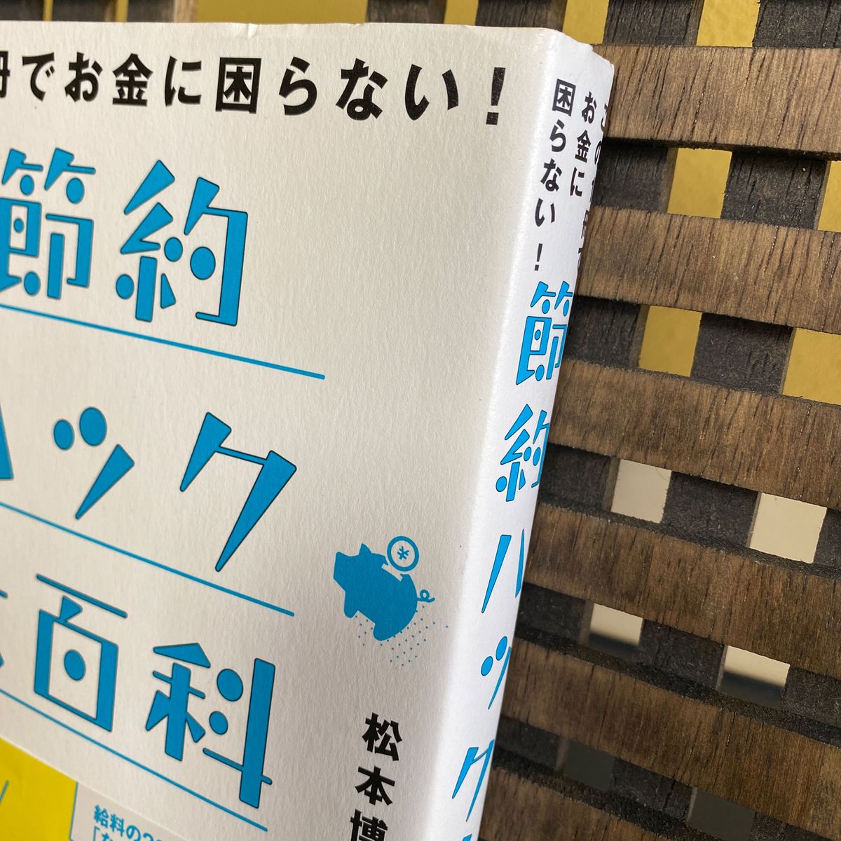 この１冊でお金に困らない！節約ハック大百科 （この１冊でお金に困らない！） 松本博樹／著