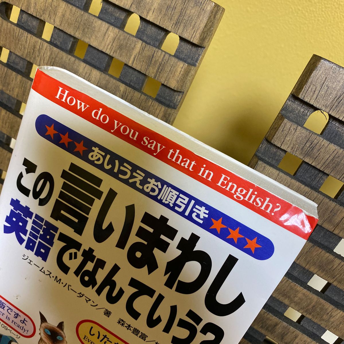 この言いまわし、英語でなんていう？　あいうえお順引き ジェームス・Ｍ．バーダマン／著　森本豊富／校閲