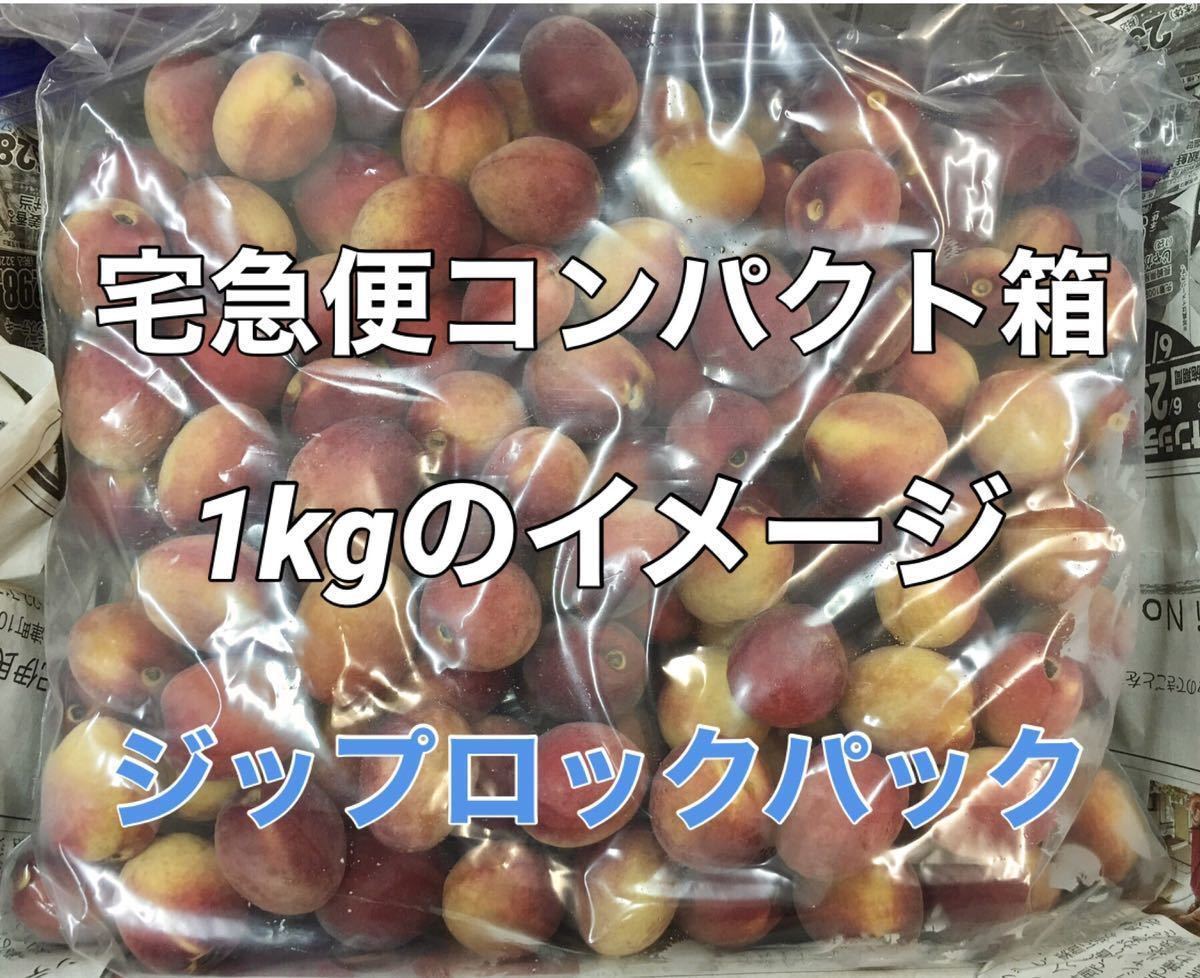 y071 クール便「冷凍紫大梅」2kg L〜Mサイズ 青梅系 梅酒 シロップ用(梅干し不可)キルトパッチ梅店(22)_画像6