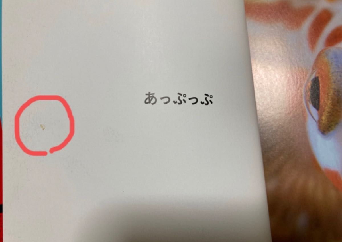 こどものとも年少版　えほんのいりぐち　7冊セット 福音館書店 2歳