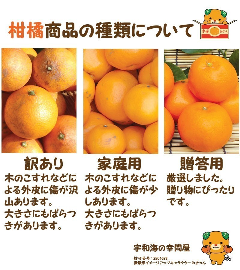 愛果28号 紅まどんな 訳あり 3kg サイズフリー 愛媛 吉田産 樹になるゼリーな柑橘 送料無料 北海道/沖縄/東北は別途送料 宇和海の幸問屋_画像3