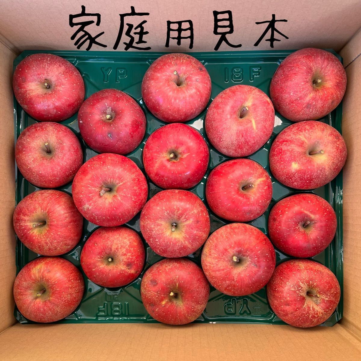 長野県産　サンふじりんご　家庭用5キロ_画像3