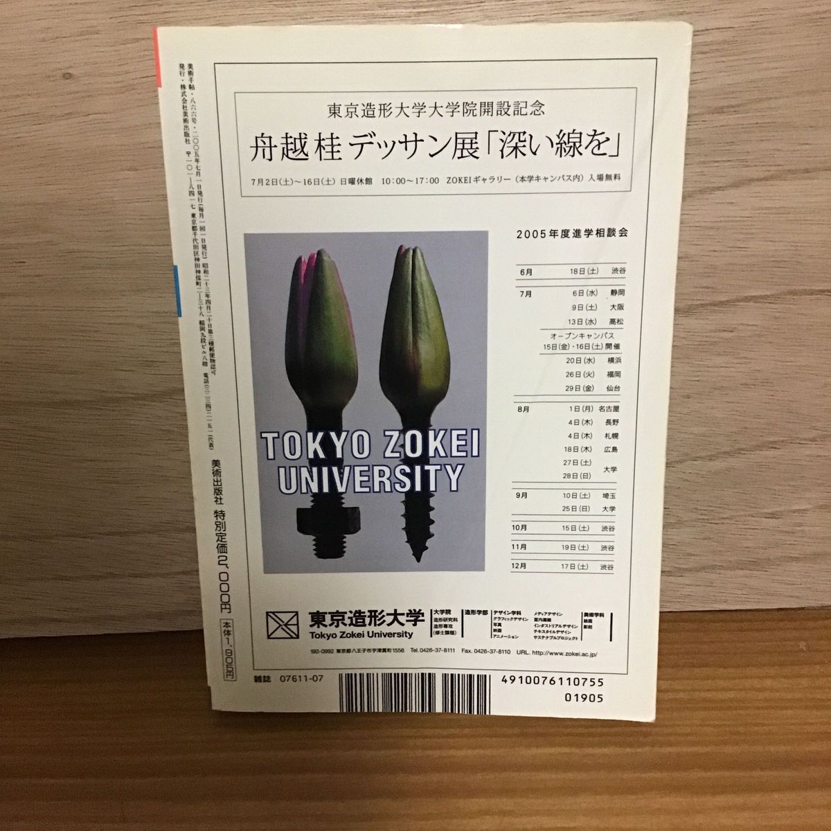 本 雑誌 美術手帖 2005 7月号 日本近現代美術史