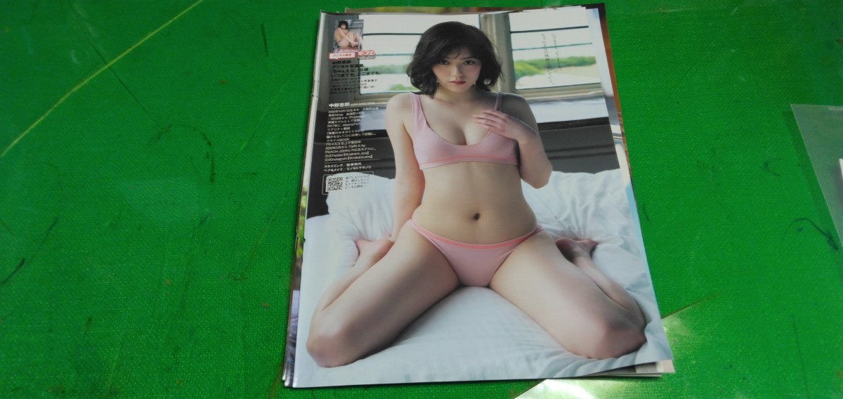 柳ゆり菜 中野恵那 グラビア雑誌切り抜き16Pの画像9