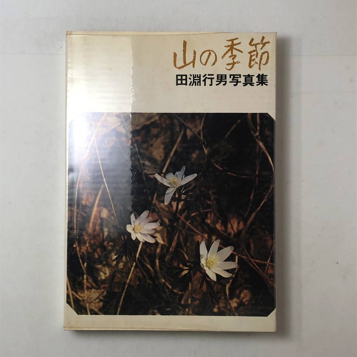 【写真集】田淵行男「山の季節」朝日新聞社　1969年　図版104枚 解説75p　☆事前　風景　山岳写真　3はyn_画像2