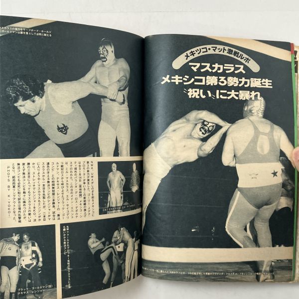  Deluxe Professional Wrestling 1979/4 burn . soul ~. tree PWF heavy class player right G* horse place VSA*T* butcher J crane rice field VS N*bok wing kru4.y