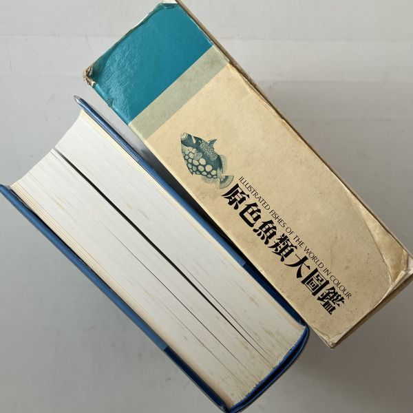 原色魚類大図鑑　北隆館　1987年初版発行　1000ページ超大容量　函、本体ビニールカバー付き　4はy_画像2