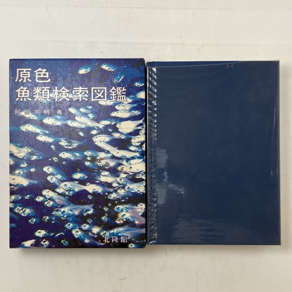 原色 魚類検索図鑑　1963年発行 1981年改訂9版　本体ビニールカバー付き状態良好　安部宗明著　北隆館　B5y_画像1