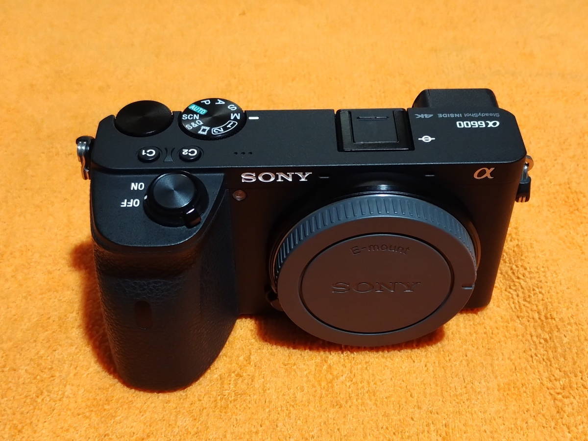 SONY ソニー α6600 ILCE-6600 ボディ+シリコンボディカバー_画像8