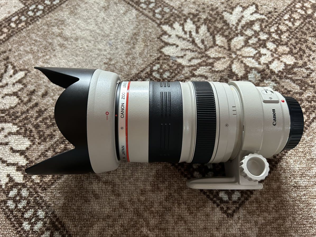 キヤノン EF 35〜350mm F3.5〜5.6L USM 美品_画像5