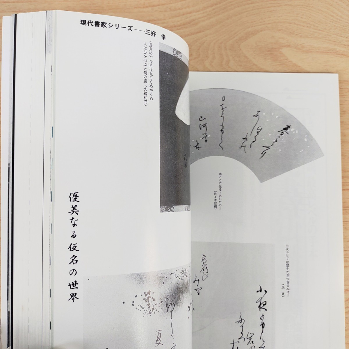 B2311036 書道藝術1995年9月号 創刊13周年記念号第5号 二世中村蘭台の篆刻 幽玄墨美賞受賞作家 第47回毎日書道展 作家精選'95 東寺国宝展_画像8